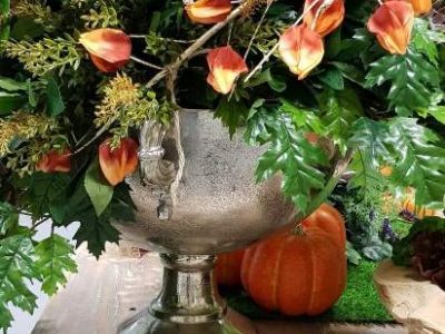 Fb Img 1530875785802