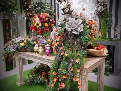 Fb Img 1530875787905