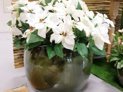 Fb Img 1530875806498