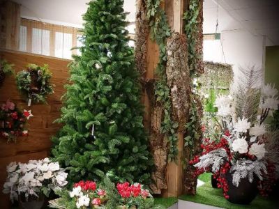 Fb Img 1530875811366