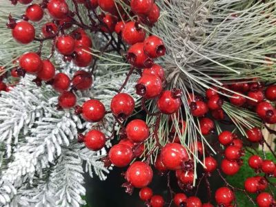 Fb Img 1530875820870