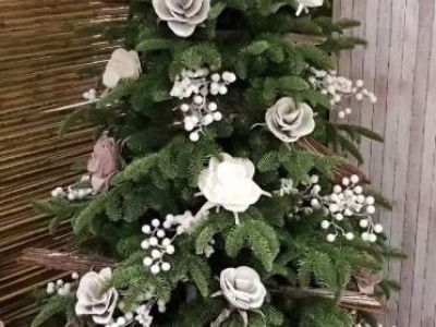 Fb Img 1530875823072