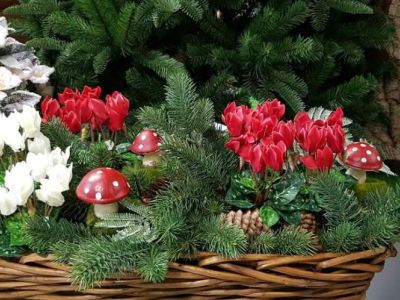 Fb Img 1530875825473